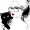 AsterLory