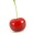 Cherry Brandy