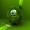 andrey_upper_kot
