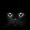 Black cat