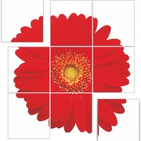 ООО Керамика-Центр