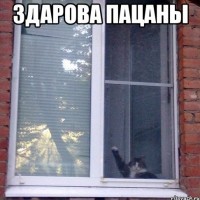 skyboard