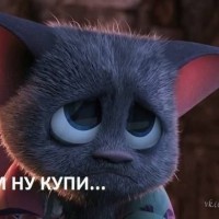 kotya_home