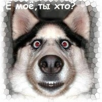 Илья Сергеевич