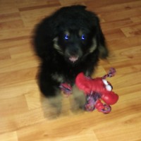 ЕкатеринаЯ