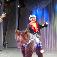 Администратор цирка