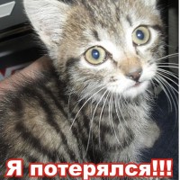 Серыш