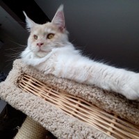 Натальюшка