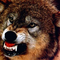 Александр Сергеевич88