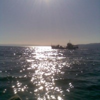 Роман Андрюсев