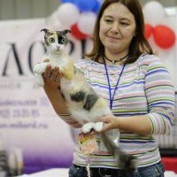 КрисТинка Комаровская