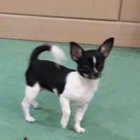 Наталья Сорокина