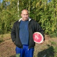 Руслан Молотков