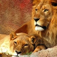 ♥♥♥Танюшка Лебедева♥♥♥