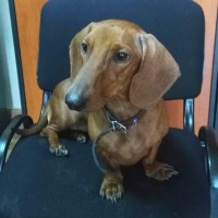 Анастасия697