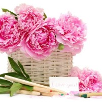 Наталия Хидирбекова