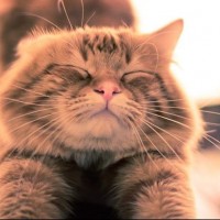 Екатерина Алексеева