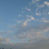 Марина Стеклова