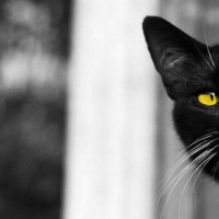 Ваш семейный риэлтор