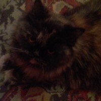 Екатерина Усова