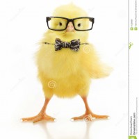 Плановый отдел АО АПФ