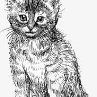 М_а_р_и_ш_к_а