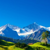 Игорь Игель