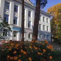 Центральная школа искусств