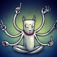 Зашедшая на огонёк