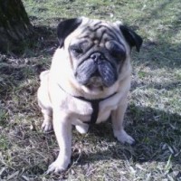 Марина Валентиновна