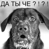 Кубич