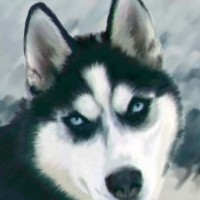 Siber