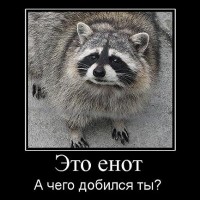 обозреватель