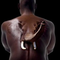 Катя-Катерина