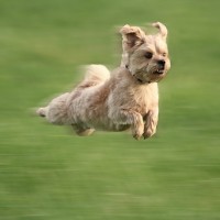 АннаВладимировна