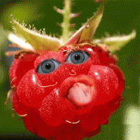 Апельсинчик