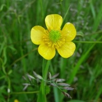 просто Татьяна