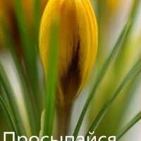 Жужа белой масти