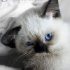Смотреть профиль пользователя.