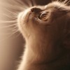 Смотреть профиль пользователя.