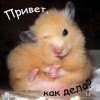 Смотреть профиль пользователя.
