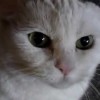 Смотреть профиль пользователя.