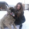 Смотреть профиль пользователя.