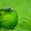Смотреть профиль пользователя.