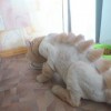 Смотреть профиль пользователя.