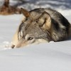 Смотреть профиль пользователя.