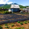 Смотреть профиль пользователя.