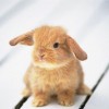 Смотреть профиль пользователя.