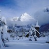 Смотреть профиль пользователя.
