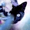 Смотреть профиль пользователя.
